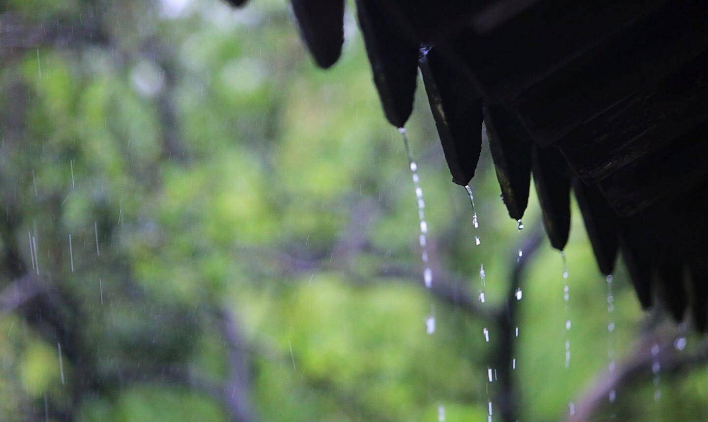 原创觉得细雨和自己作对杨万里调皮地写首咏雨诗开篇7字就惊艳了