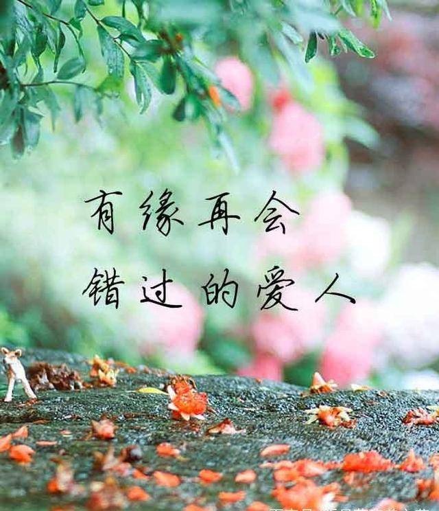 有缘再会错过的爱人