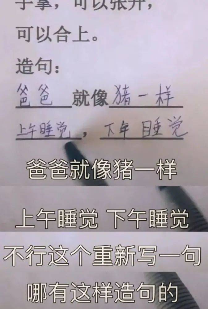 “羊”了以后，我劝你，这件事最好别去做  一年级作文 第37张