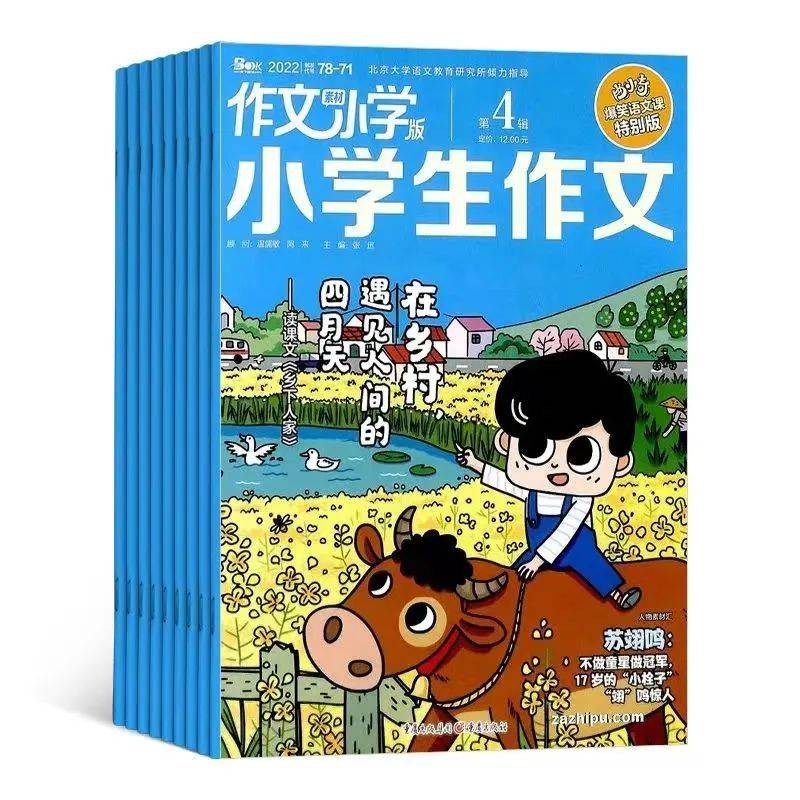 搞好作文基础的最佳时机就是小学，再问还是小学！  小学作文 第7张