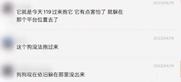 到底是什么心理，才会把狗狗放到16楼的外墙？