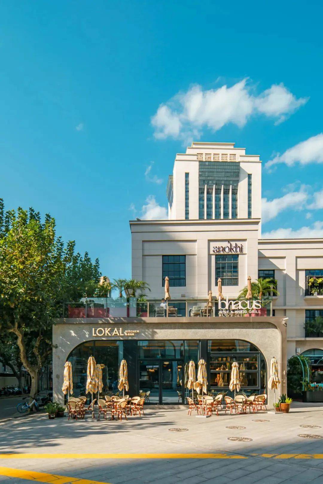 ��ħ��Ħ������� 2022 BEST 50���ذ�������