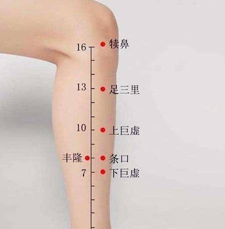 犊鼻穴——治疗膝关节病的特效穴！