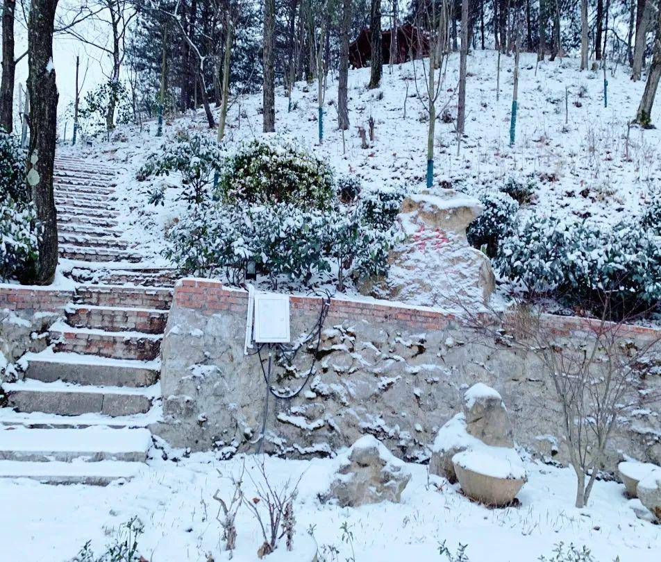 【曾家山】曾家山绝美雪景来袭，请查收！