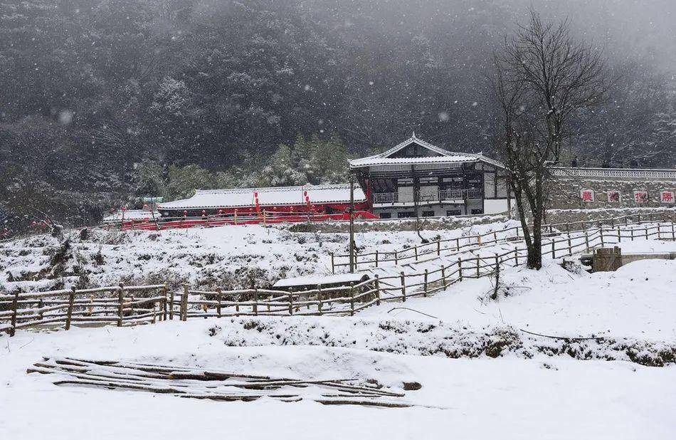 【曾家山】曾家山绝美雪景来袭，请查收！