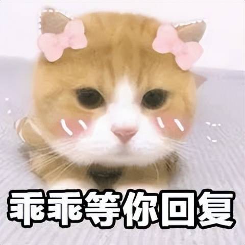 ʳңȻΪ6Ʒˣ