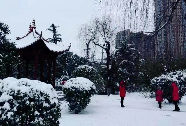 齐洪松咏雪诗词11首