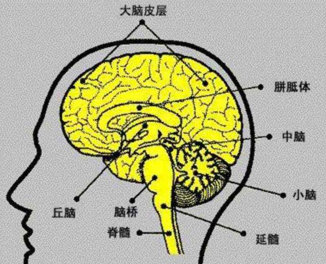 从科学角度阐发，冻死和热死，哪一种更好受一些？