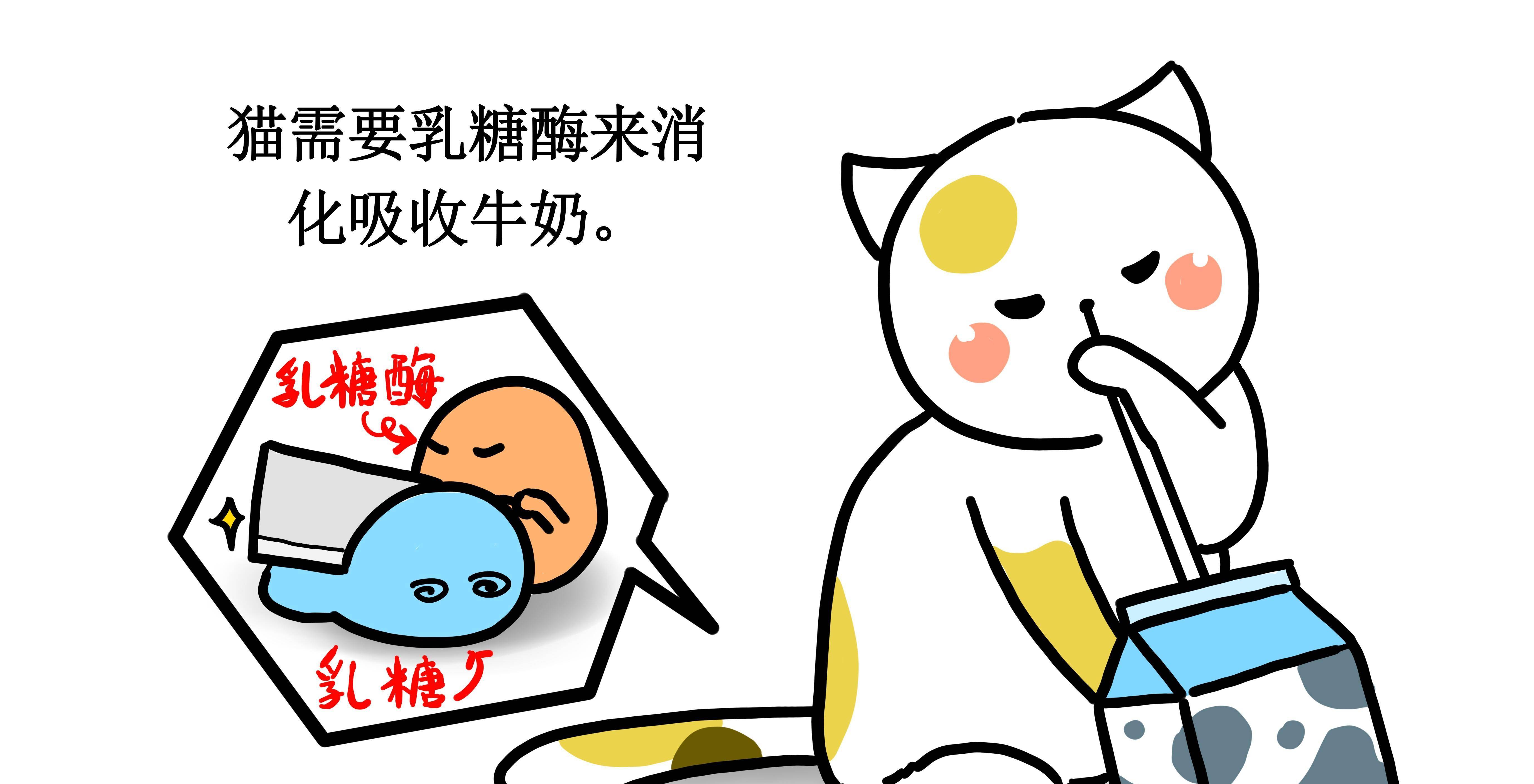 猫喝牛奶好吗？它对猫来说是安康的食物吗？哪款牛奶喝得更安心？