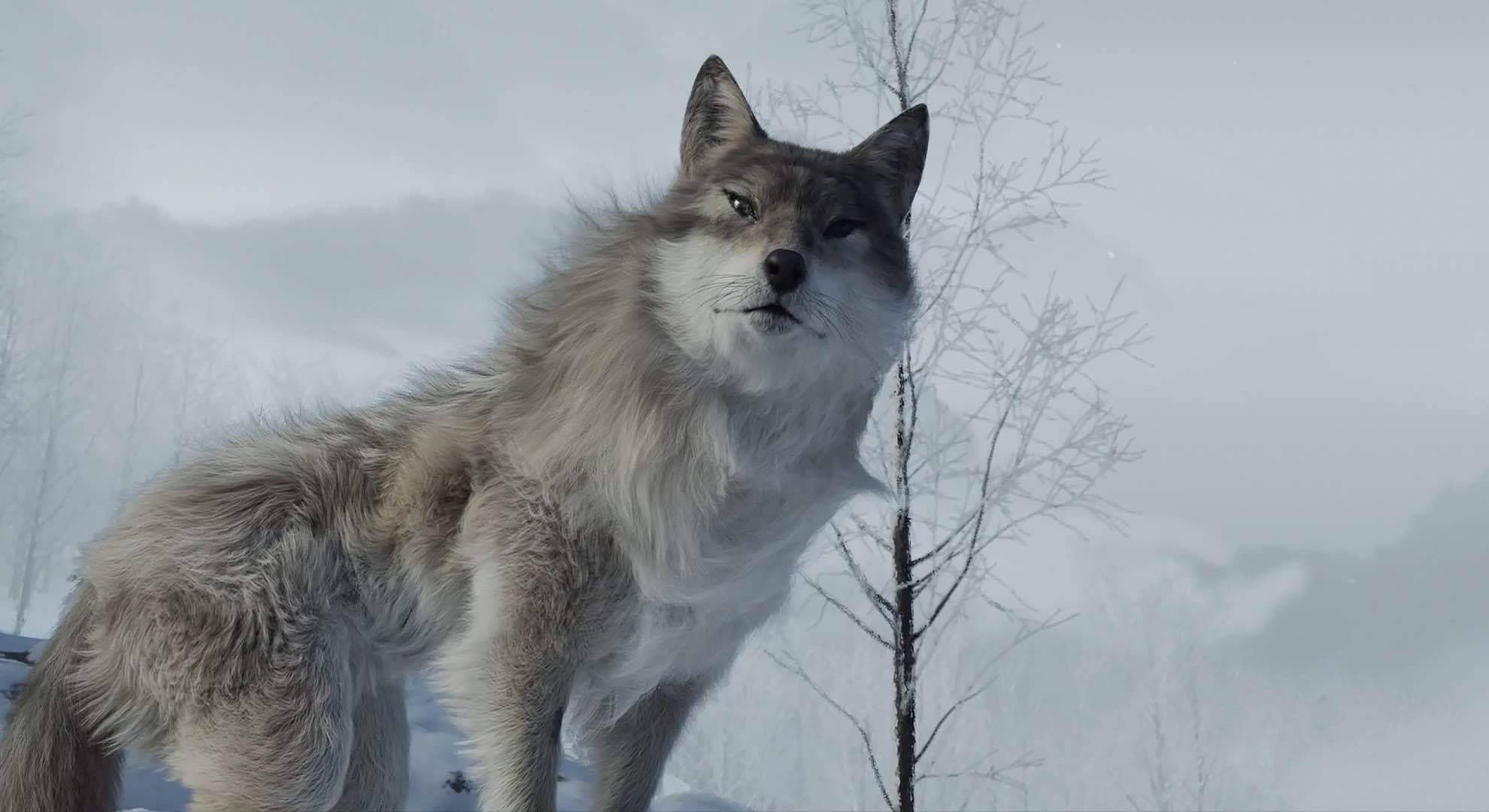 猎犬与狼的故事?胡扯!你看懂《中国奇谭:林林》了吗?(上)