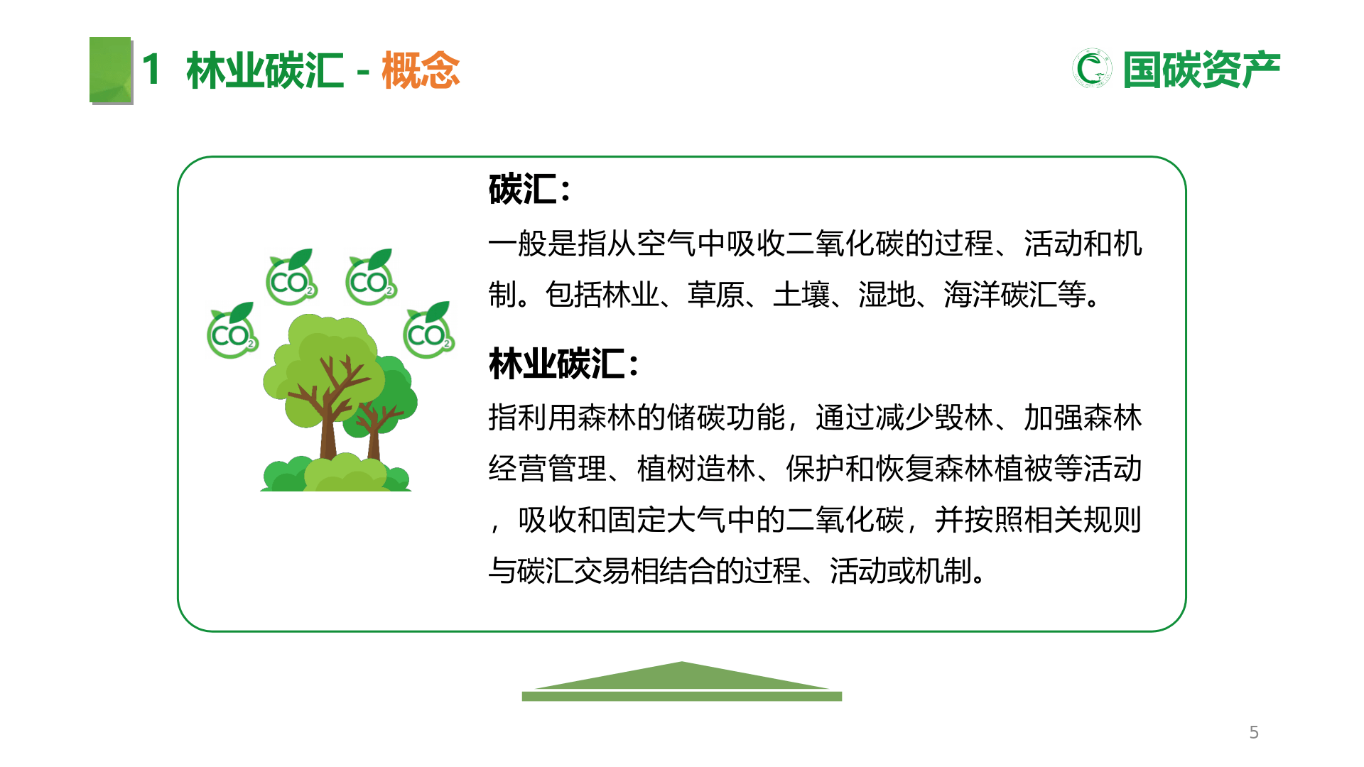 林业碳汇资本项目开发(附下载)