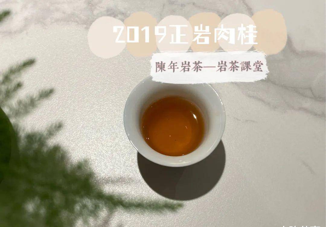 老茶客喝岩茶时常说的岩韵是什么？谜底来了