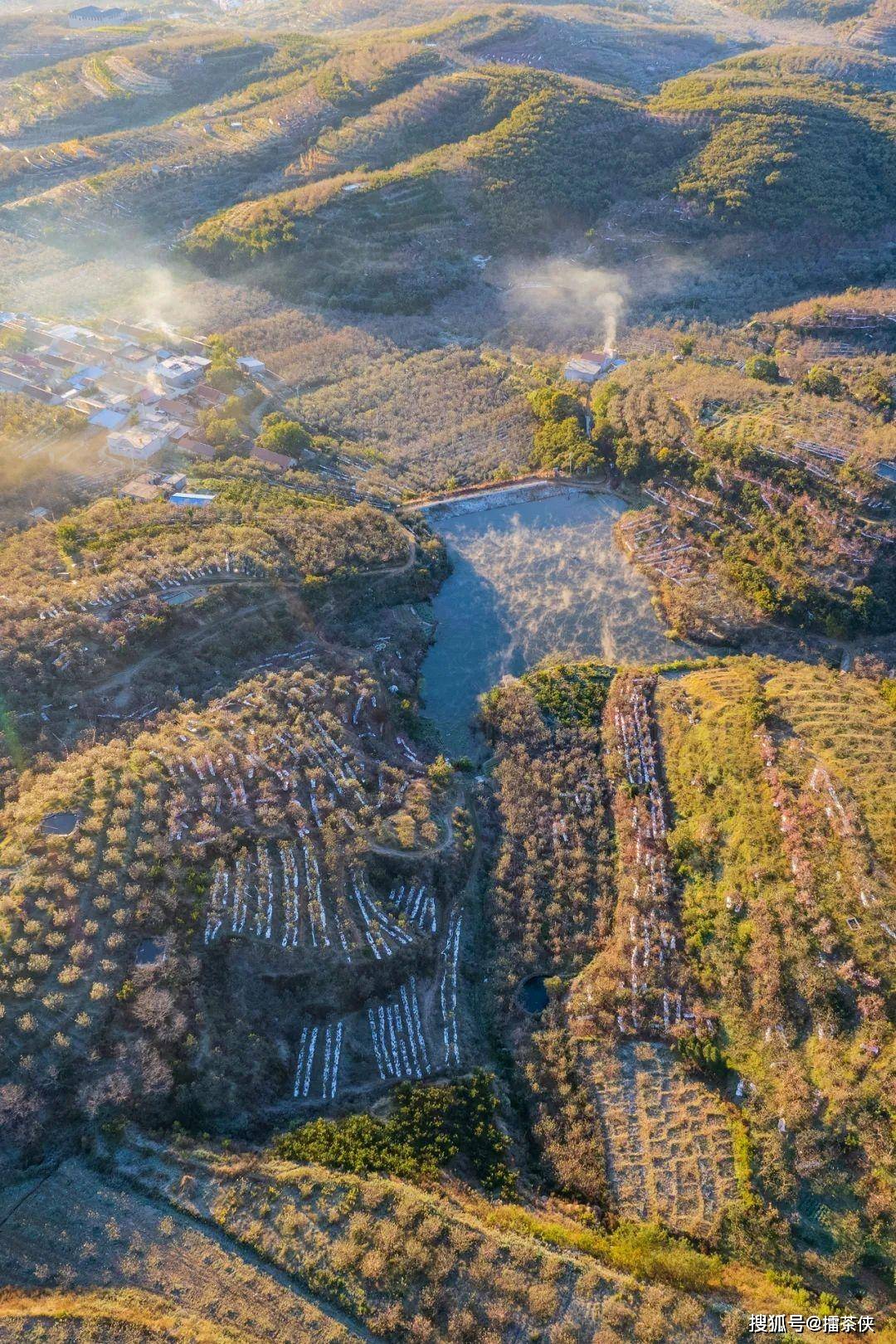 山东苹果，凭什么是中国苹果之神？