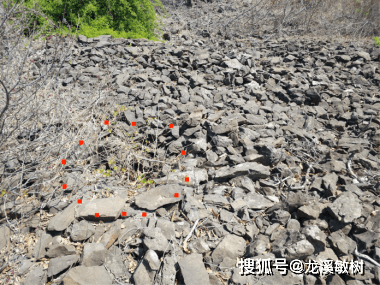 千古文明的对话——走进山东栖霞方山远古不雅象祭祀遗址