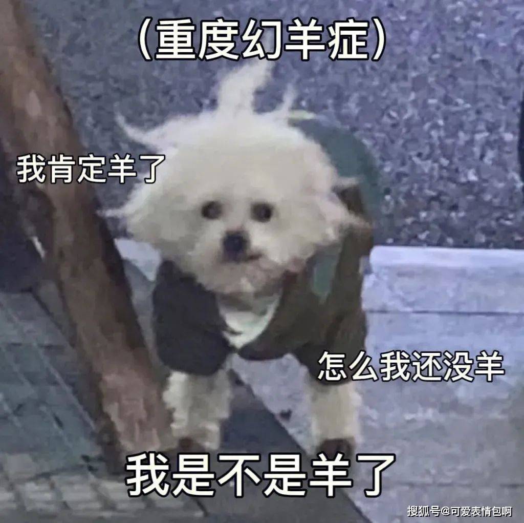 抖音黑人老嫂子搞笑脸色包合集