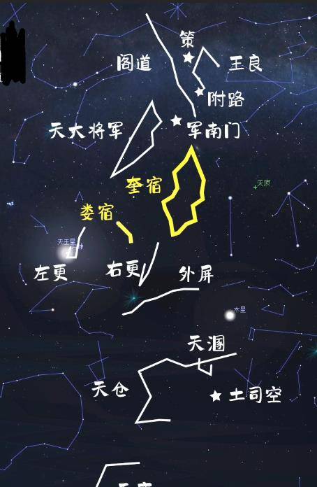 青龙VS白虎的世纪大战！为什么它们是死仇家？「星空帝国系列」8