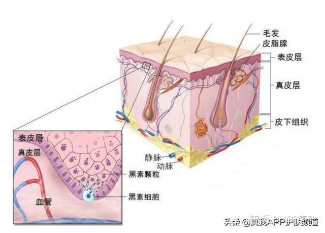 青春痘印能自我淡化？网友：别做梦了，不防晒就等着满脸黑点吧