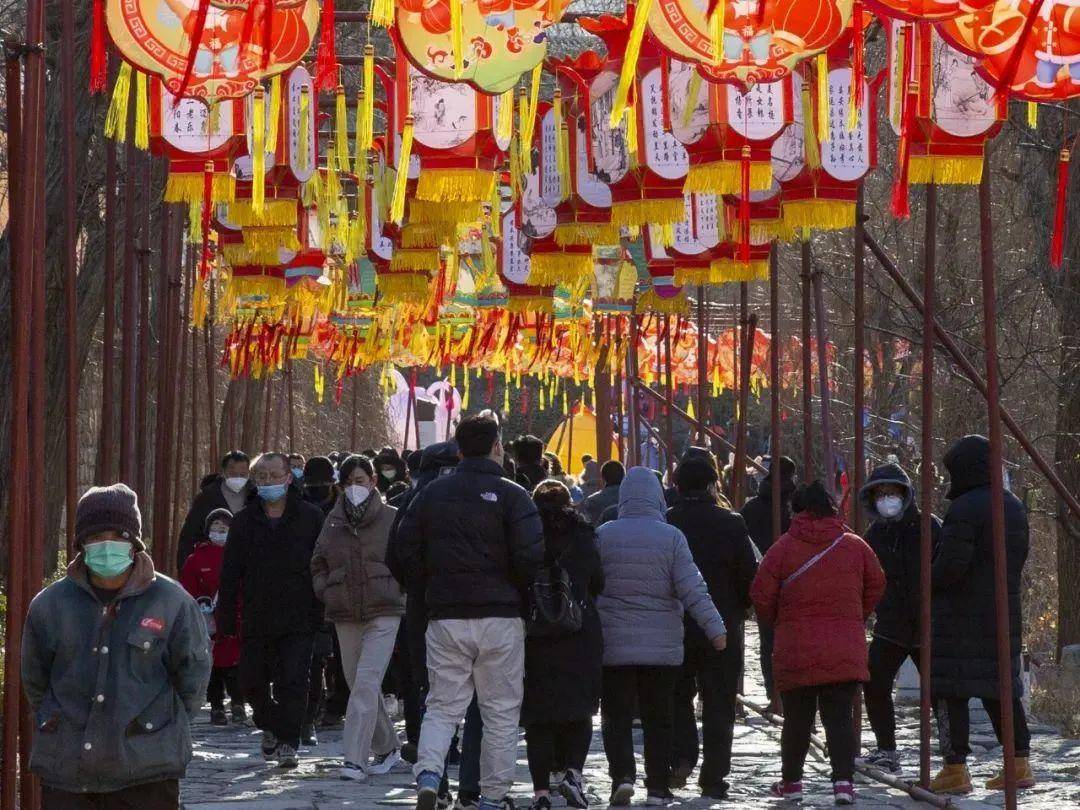 太便利了！家门口乘坐景区畅游专线去“小泉城”免费撸羊毛！