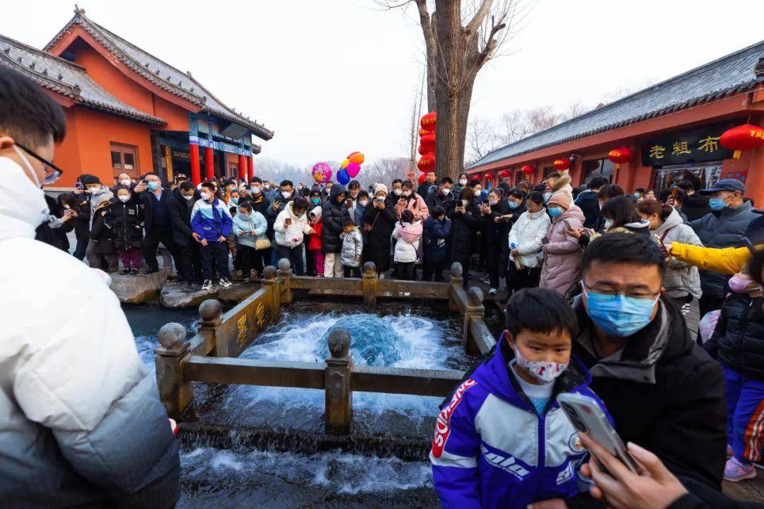 太便利了！家门口乘坐景区畅游专线去“小泉城”免费撸羊毛！