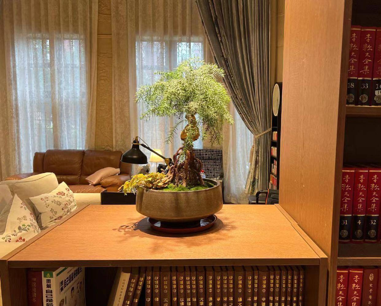 歌手黄安福州租房,豪宅别墅曝光,回绝土豪风,大客厅拆修成书店 歌手黄安福州租房,豪宅别墅曝光,回绝土豪风,大客厅拆修成书店