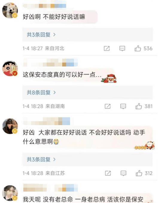 怎么还心疼原著呢？被骂他一点都不无辜……