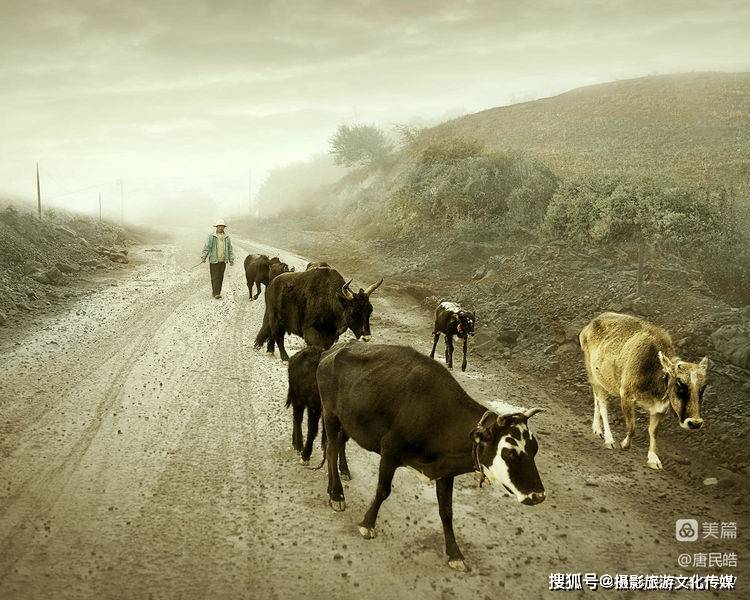 唐民皓-后摄影创意人像100幅（2022 / 中国）