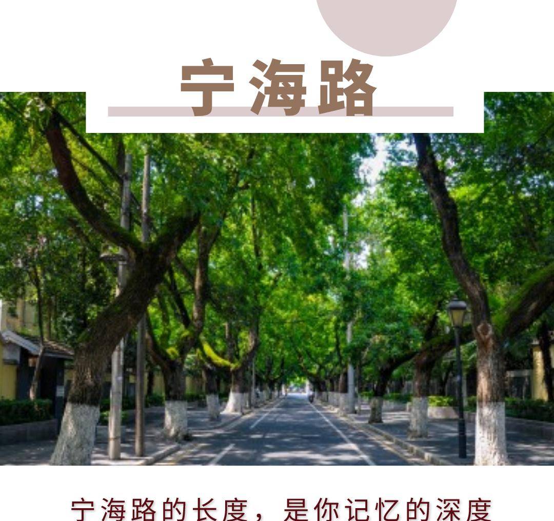 那个春天，你必然要来走走南京那几条路