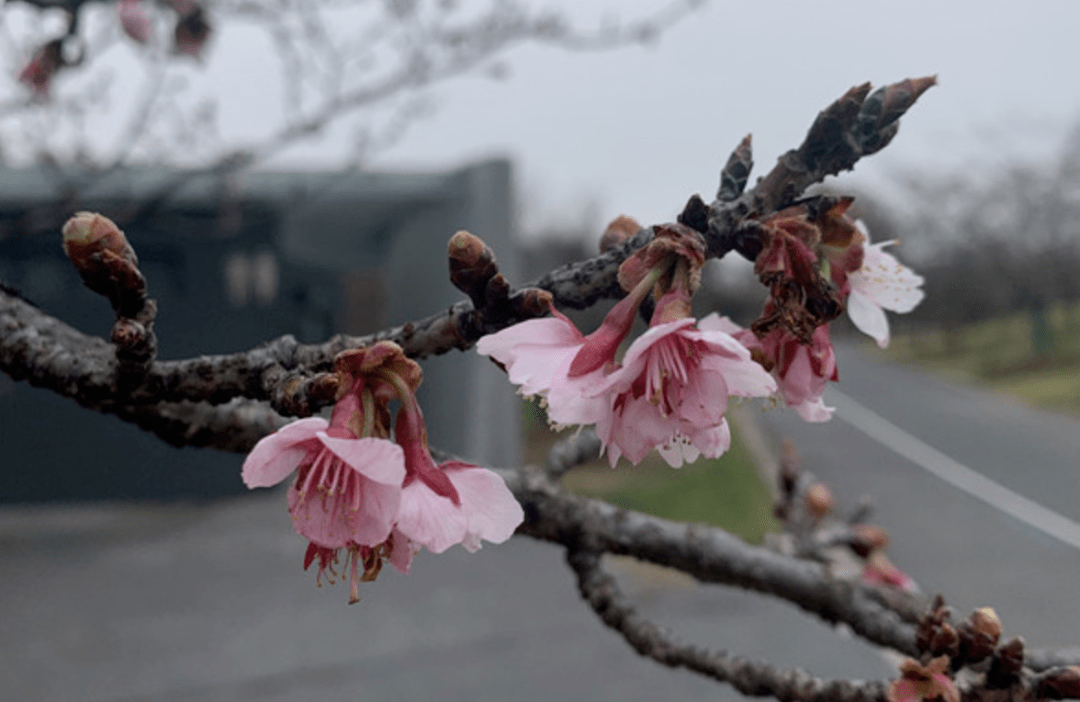 2月15日·上海要闻