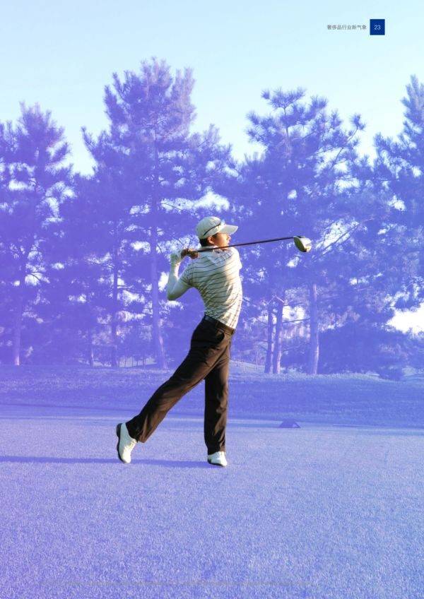 2023���й�����Ʒ��ҵ����