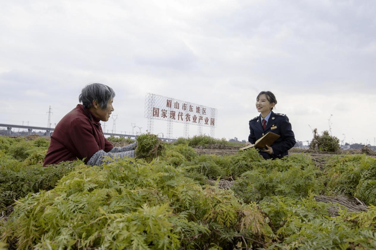 四川：“税务蓝”勾勒大美“春耕图”