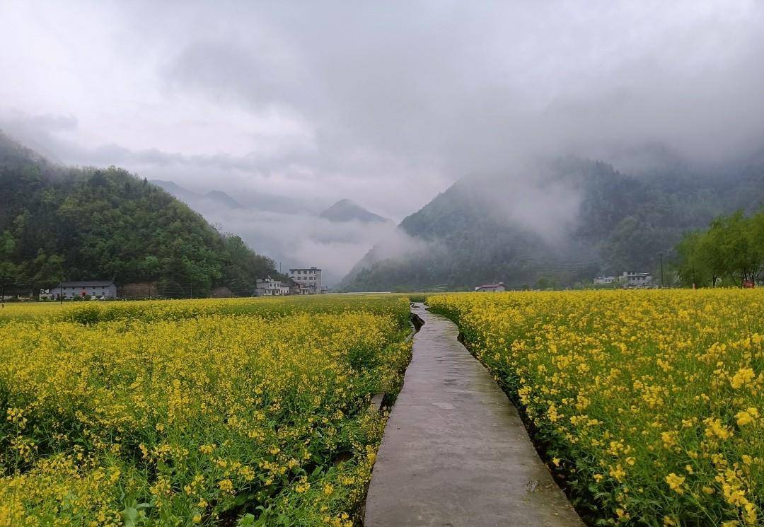 乘坐开往秦岭云烟深处的火车，抵达十里花海村子，仙气飘飘太美了