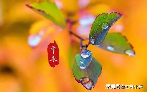 正月十九雨水晨安问候祝愿图片精选 正月十九雨水问候祝愿语简短句子