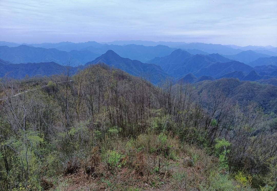 乘坐开往秦岭云烟深处的火车，抵达十里花海村子，仙气飘飘太美了