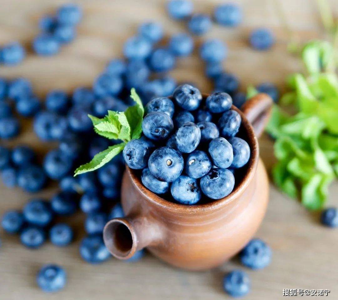 ��ŵ����5�ָ����ද��ͯ����רע������������ʳ�