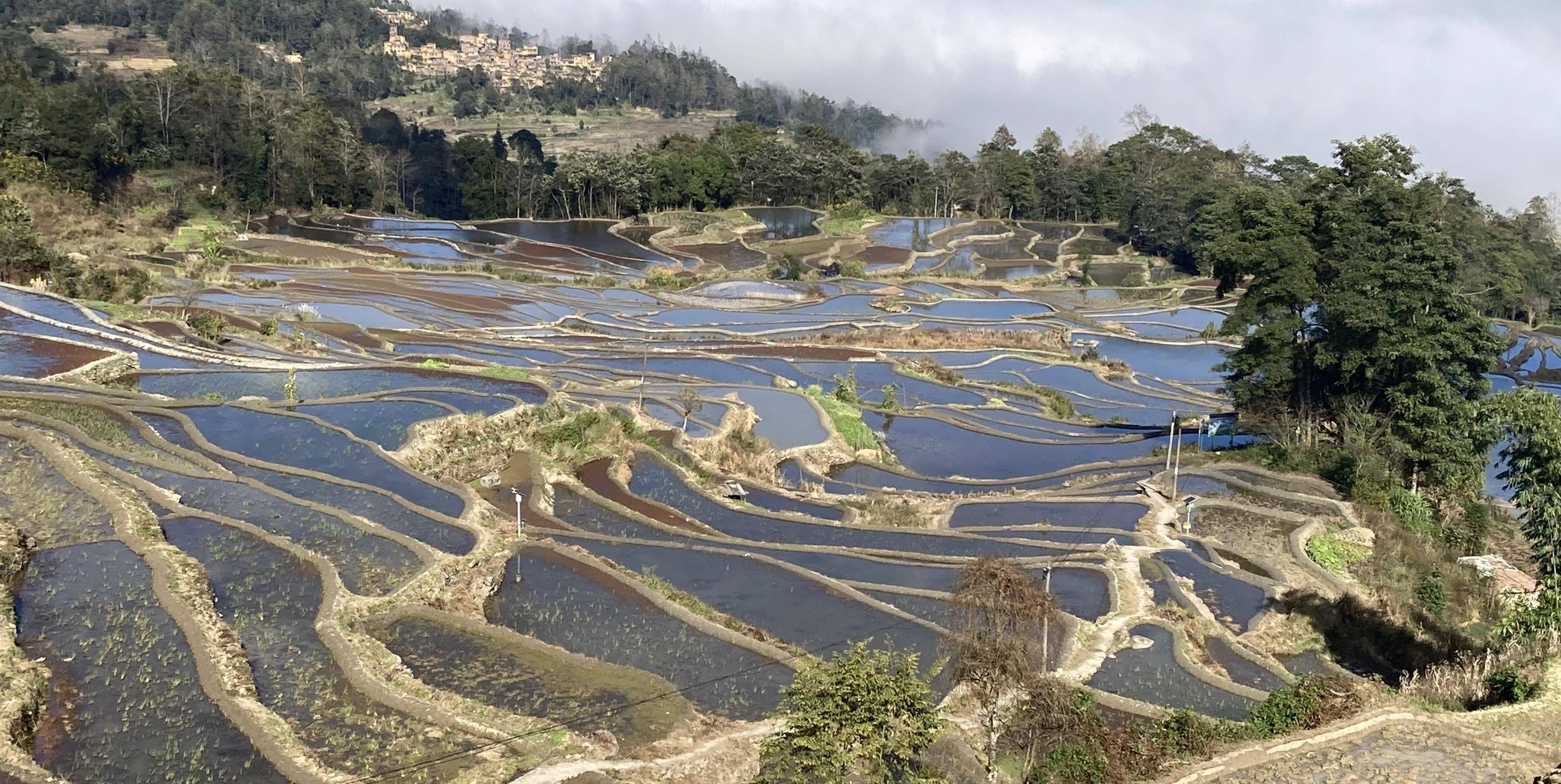 元阳哈尼梯田各不雅景台美景之-箐口不雅景点