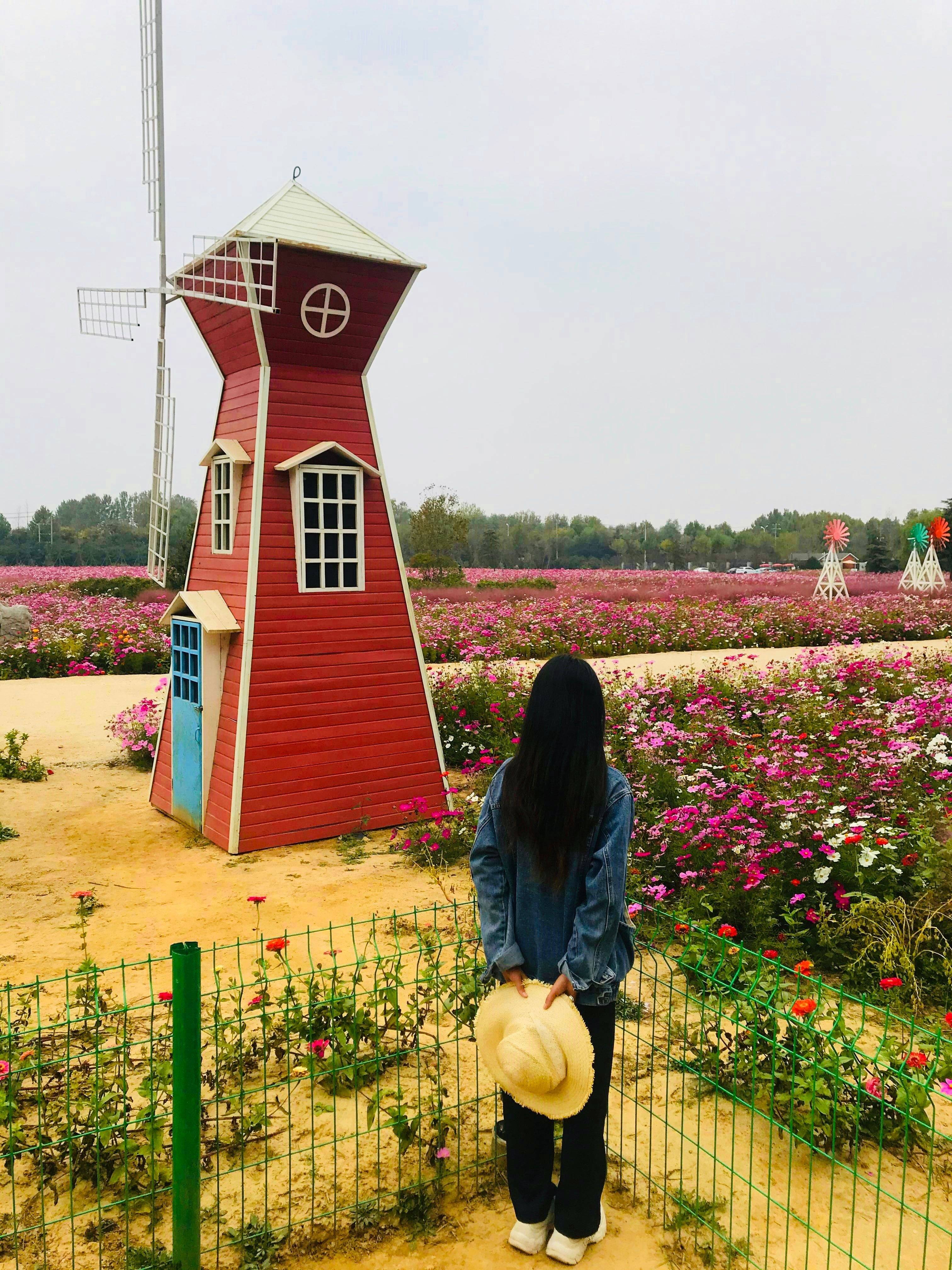 日照最强旅游攻略,景点美食大合集