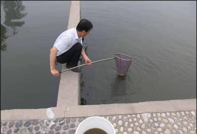 上浮和下沉类型的鱼饲料，各有优缺点，没有需要争论它们的好坏