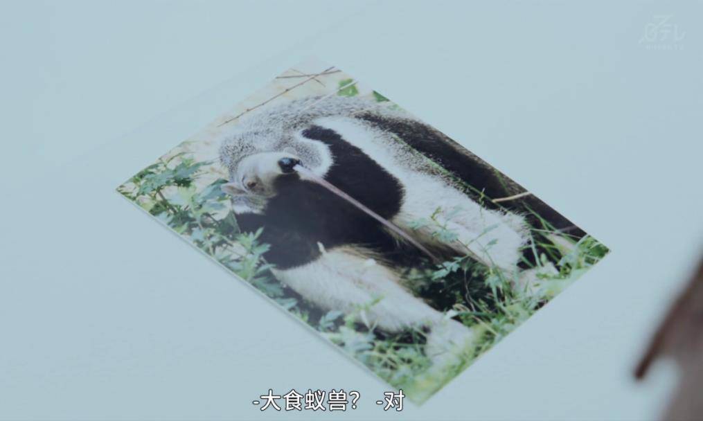 9.2�֣�������Ц����ˢ���飡