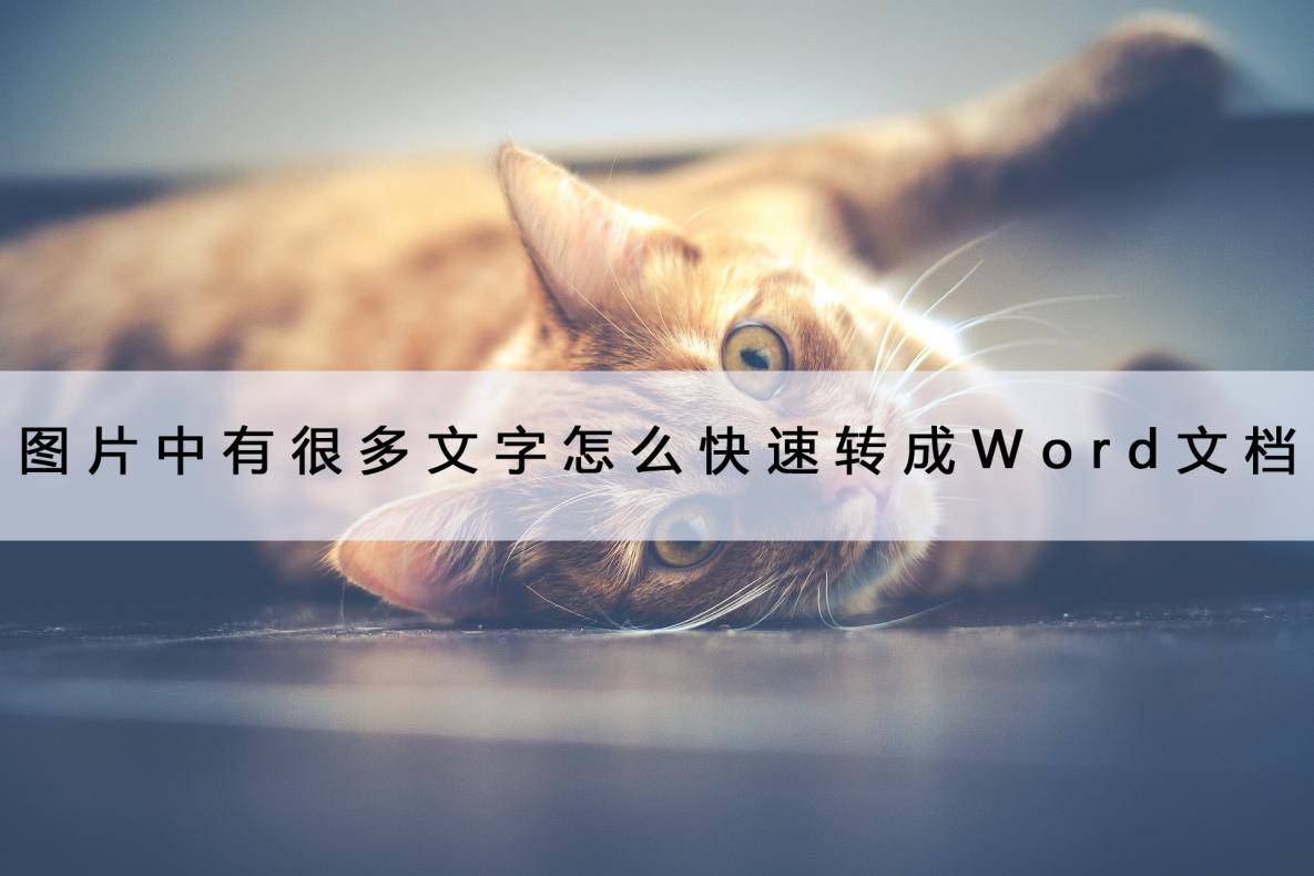 图片中有良多文字怎么快速转成Word文档？用它很省时间