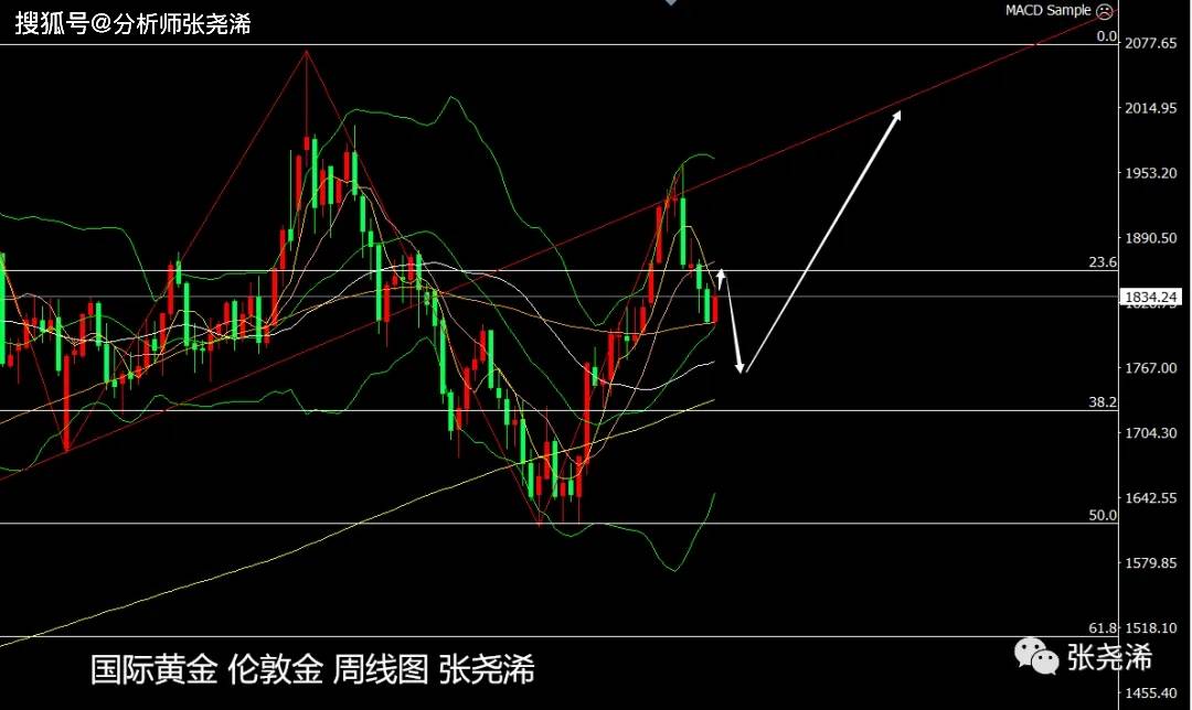 张尧浠：美升息力度助力提拔、金价短期或陷震荡盘整