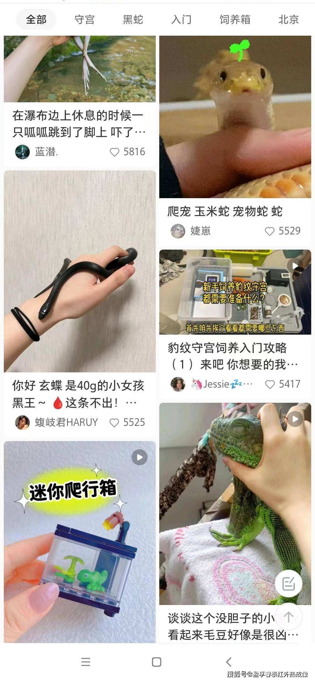 异宠火遍全网！用热成像赐顾帮衬它们靠谱吗？