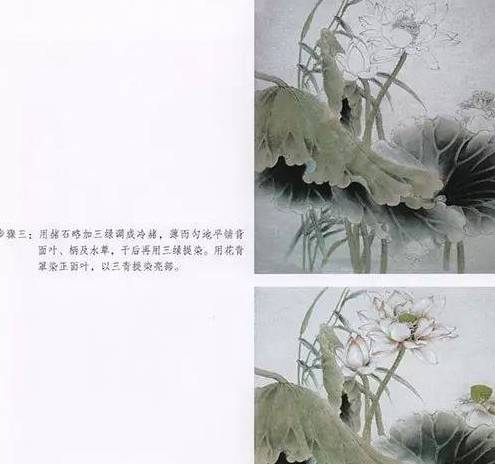 齐派传人、齐良芷门生-画家汤发周趣谈：工笔荷花的整体绘画技法