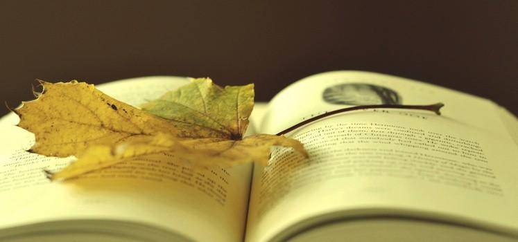 ��ϸ�µ�ӰΪ����ǳ����Ӱ����α��׵ص㡢ʱ������⼰�� ...