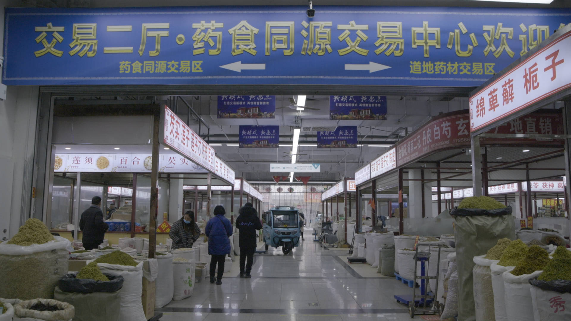 中国药材市场交易网下载