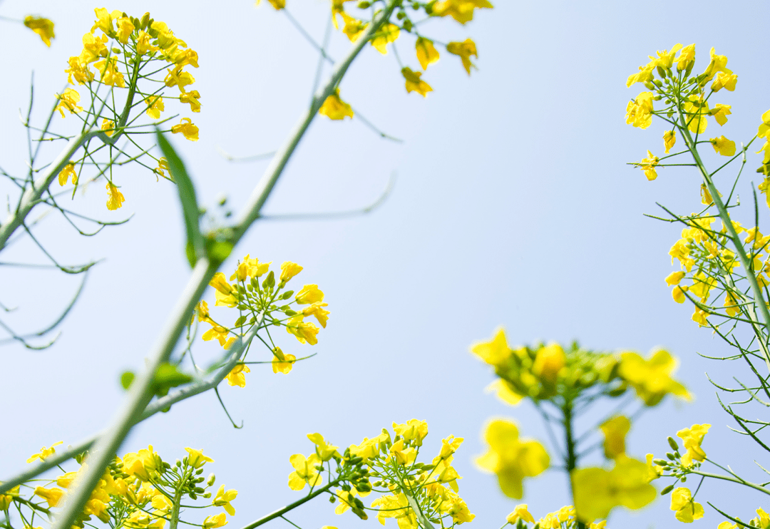 摆设！女神节组团畅玩星沙，奔赴春天的所有美妙~