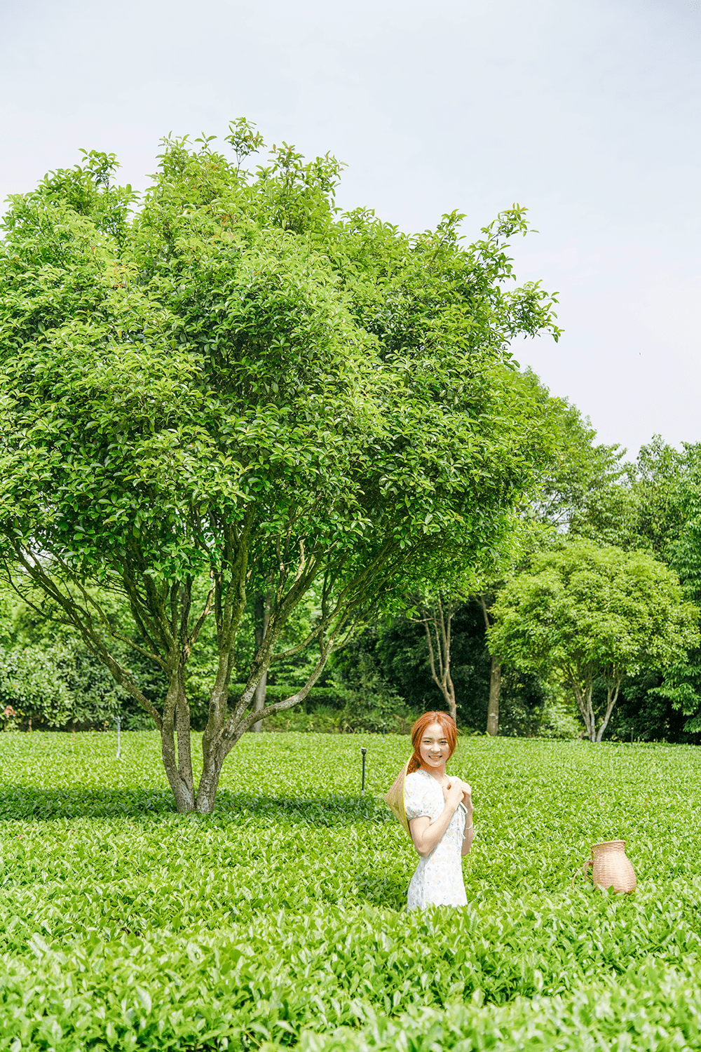 摆设！女神节组团畅玩星沙，奔赴春天的所有美妙~