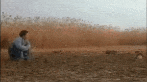 ��ЦGIF�������ţ������˼����ĺ��б�Ҫ