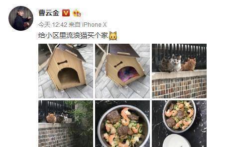 曹云金给小区流离猫吃食，网友看了伙食泪崩，本身吃的不如猫