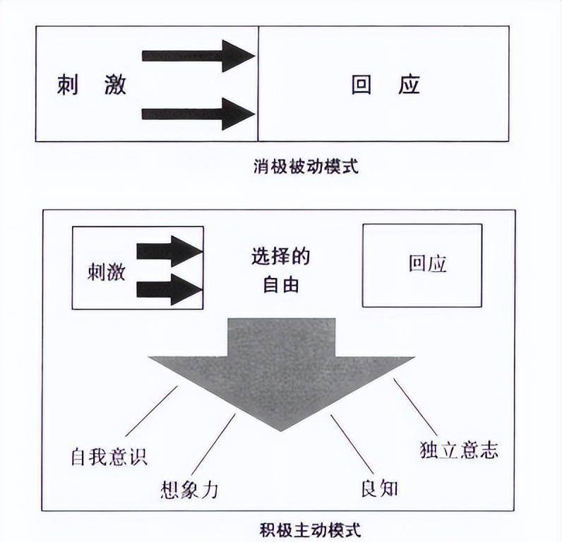 “黑梅酱”被骂上热搜，社会最可悲的潜规则被揭露