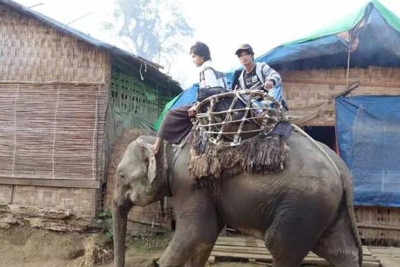 �����ս���У����غ��鱦�̣�������ȫ���׸��������껯ʯ ...